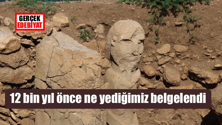 Karahantepe'de 12 bin yıl önce beslenme biçimi belgelendi