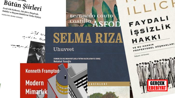 Haftanın kitapları / Hikmet Temel Akarsu