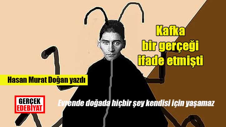 Kafka'nın böceğine dönüşmek / Hasan Murat Doğan