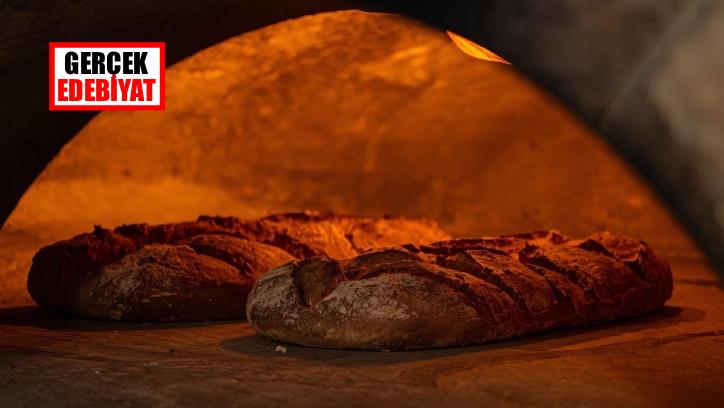 Dönüşün gölgesinde / M. Topaloğlu