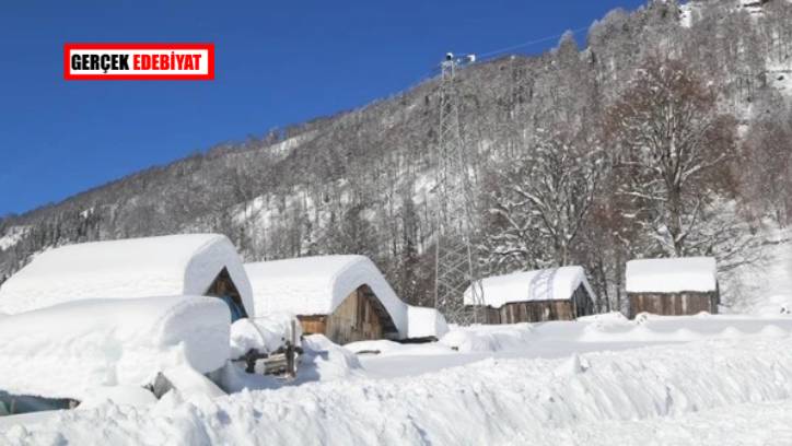 Türkiye'nin biyosfer rezerv alanlarından biri olan Camili Havzası, beyaz bir örtüyle kaplandı