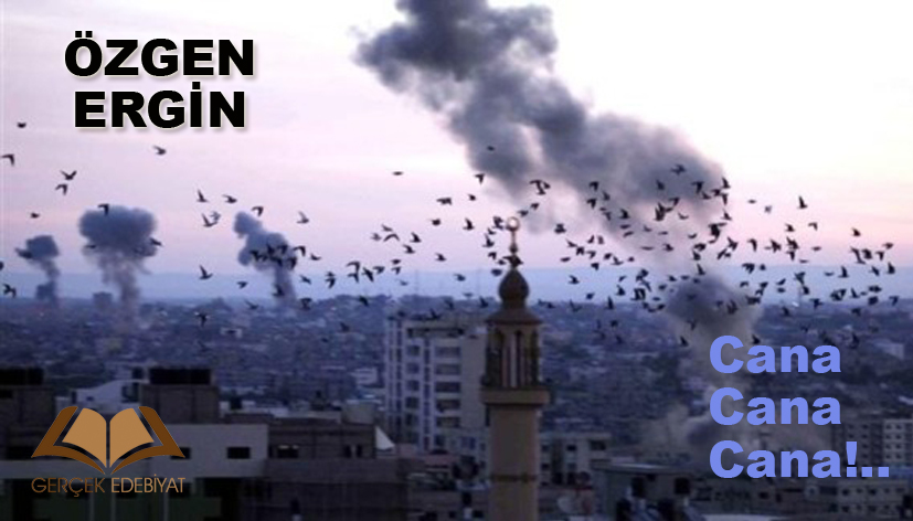 Cana Cana Cana!... / Özgen Ergin