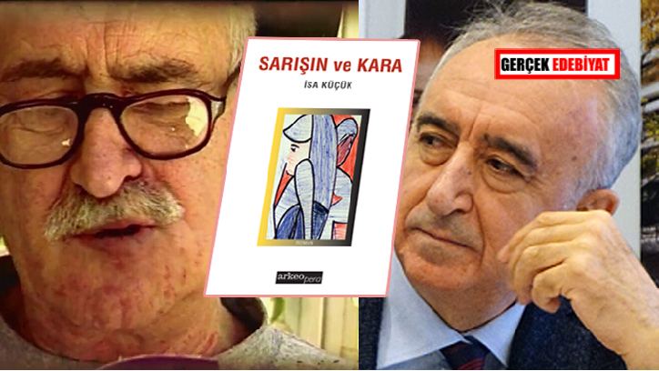 Sarışın ve Kara romanı hakkında bazı düşünceler