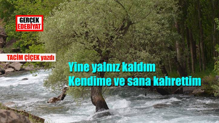 Bencil metinler 8 / Tacim Çiçek