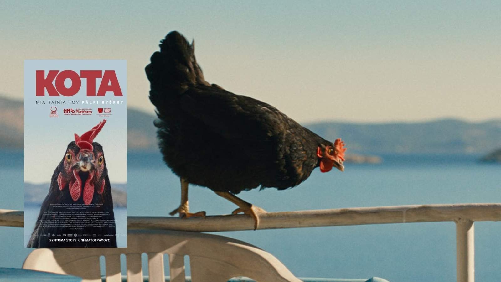 Sinemalarda bu hafta Tavuk filmi dikkat çekiyor