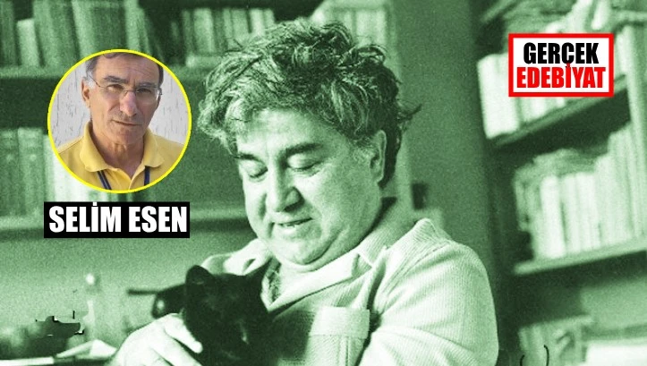 Aziz Nesin ve 'Tanin olayı' / Selim Esen