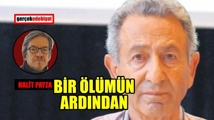 Sahi ‘sular durulacak’ mı / Halit Payza