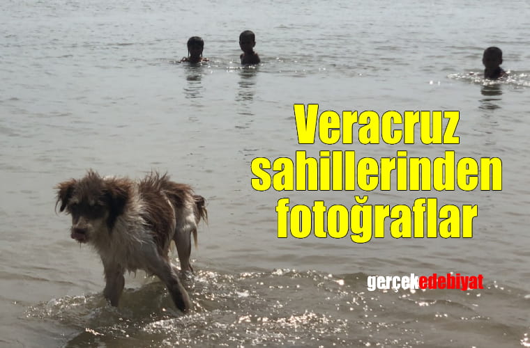 Veracruz sahilinden fotoğraflar