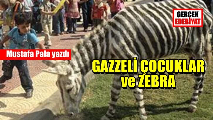 Anlatım olanağı olarak metafor / Mustafa Pala
