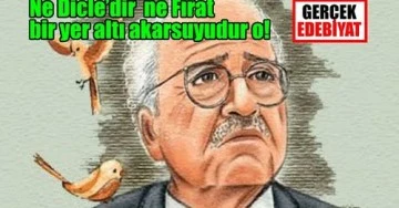 Sezai Karakoç Üzerine / Hüseyin Ferhad