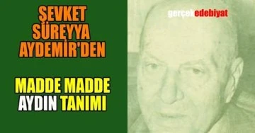 Aydın kime denir? Gerçek aydının özellikleri / Şevket Süreyya Aydemir