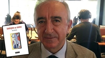 Sarışın ve Kara romanı hakkında bazı düşünceler