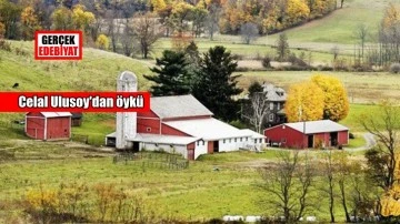 Adrese teslim iş / Celal Ulusoy