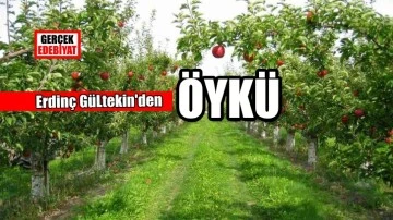 Ağaçtaki elma / Erdinç Gültekin