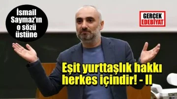 'Alevi yurttaş' denilmek bizi üzüyor / Ali Ekber Ataş