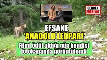 Anadolu Leoparı'na Hollanda'da 'En İyi Film' ödülü