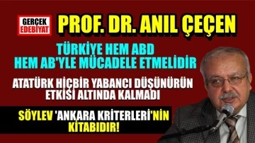 Ankara kriterleri / Prof. Dr. Anıl Çeçen