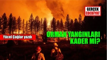 Artan orman yangınları 'iklim değişikliği' mi? Yoksa...  / Yücel Çağlar