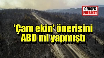 Astronom profesörün 'Yanan ormanlara' önerisi ilgi bekliyor