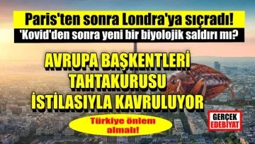 Avrupa'da tahtakurusu istilası paniği 