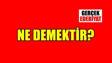 ‘Ayyuk’ ne demek?