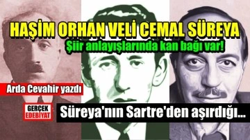 Biçim arayışları / Arda Cevahir