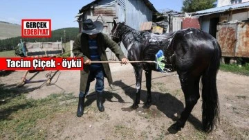 Bir köylü kurnazlığı  / Tacim Çiçek