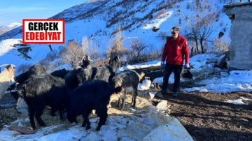 Depremin 17. gününde mucize! 17 küçükbaş hayvan sağ çıkarıldı