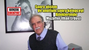 Bir Resimaltı İçin / Muzaffer İlhan Erdost