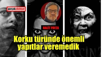 Bizim niçin Frankenstaynımız Drakulamız yok