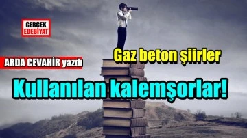 Bütüne doğru / Arda Cevahir