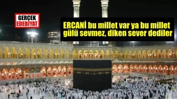 Dediler / Mehmet Ercan