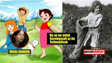 Doğa yasası