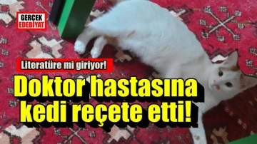 Doktor hastasına kedi reçete etti!