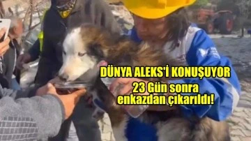 Dünya 23 gün sonra kurtarılan Aleks'i konuşuyor