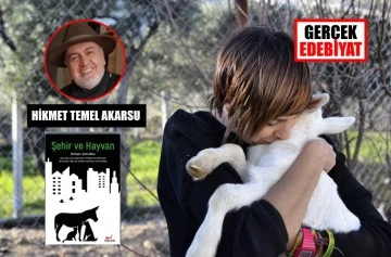Eleştirel hayvan çalışmalarına ilişkin: Şehir ve Hayvan