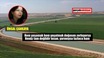 Haydi insan kalmaya!