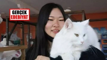 Japon gelinin Van kedisi sevgisi