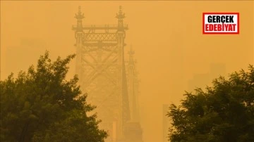 Kanada'daki orman yangını New York'u sise boğdu