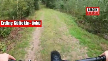 Köpeğini otlatan sığır ve diğerleri / Erdinç Gültekin