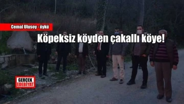 Köpeksiz köyden çakallı köye! / Celal Ulusoy