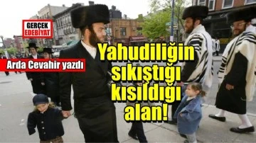 Kuzuları avlamak / Arda Cevahir