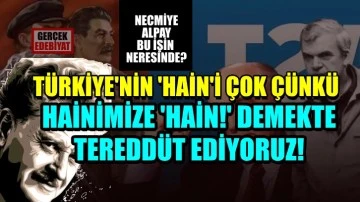 Liberal çete Nazım Hikmet'e bunu da yaptı! 
