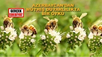 Arıların sessizliği / Şerif Ağayar