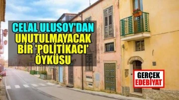 Omurgasızlar / Celal Ulusoy