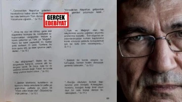 Orhan Pamuk'un çalıntıları / Ahmet Yıldız