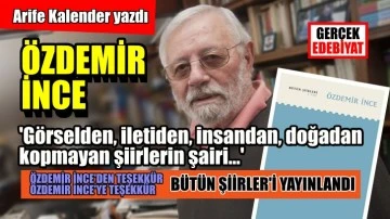Özdemir İnce’nın ‘Bütün Şiirleri’ üzerine / Arife Kalender