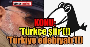 Özdemir İnce'den Metis Yayınları'na zehir zemberek sözler