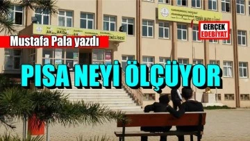 PISA’nın öteki yüzü / Mustafa Pala
