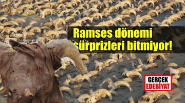 Ramses Tapınağı'nda 2 bin mumyalanmış koç başı bulundu